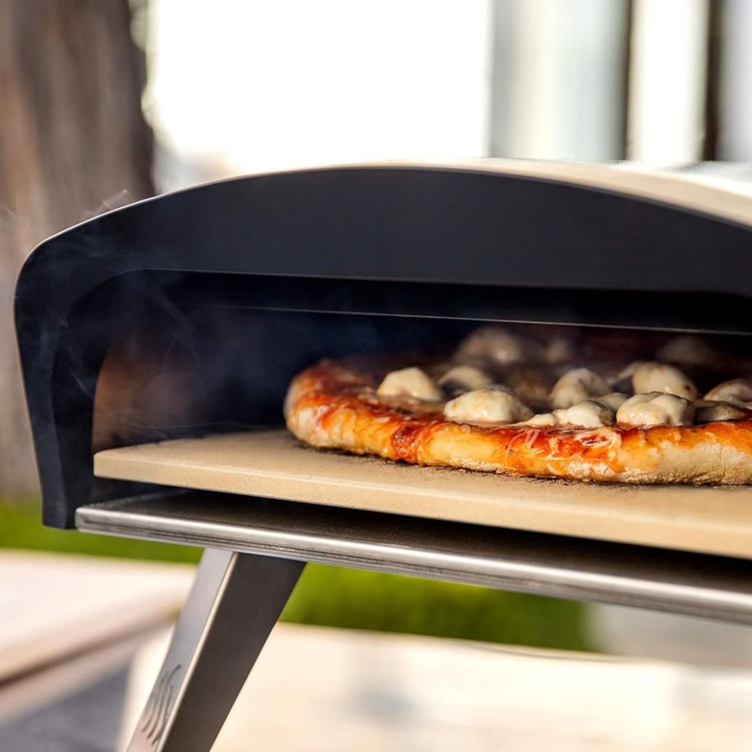 Built-in thermometer gas pizza oven